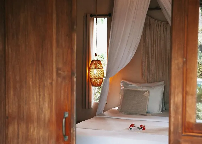 Escape Eco 4*