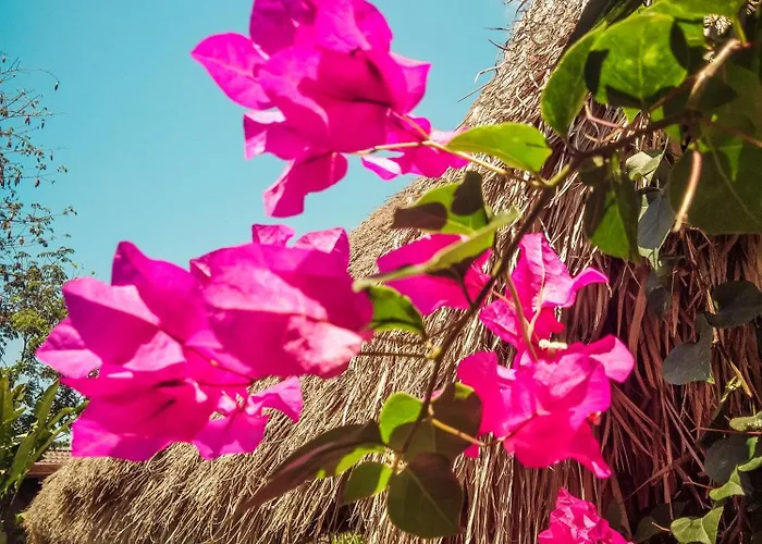 Escape Eco Resort 4*